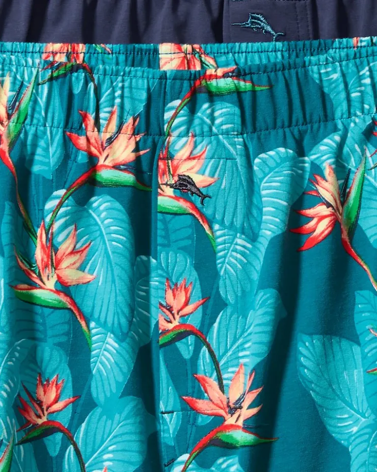 Tommy Bahama Big & Tall Tropical Print & Solid Knit Boxers—2-Pack- Underwear
