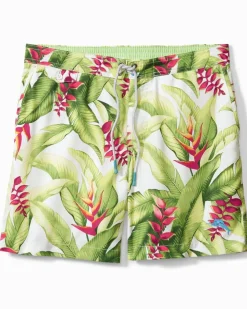 Tommy Bahama Men's Calypso Fronds 6-Inch Board Shorts- Swim & Boardshorts